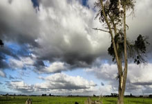 问鼎娱乐：[乒乓球]黄友政止步男单四分之一决赛.