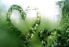 问鼎娱乐：特尔施特根：我恢复良好，期待尽快上场比赛.