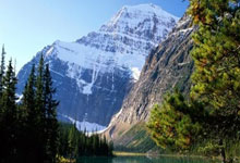 问鼎娱乐：新疆一夜变天！弃用两大战力外援引爆CBA大地震，球迷怒斥.