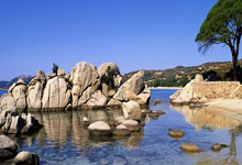 库里观战勇士双杀雄鹿 字母哥利拉德合计34中11.